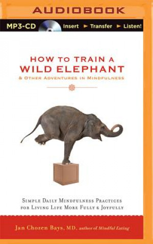 Digital How to Train a Wild Elephant & Other Adventures in Mindfulness: Simple Daily Mindfulness Practices for Living Life More Fully & Joyfully Jan Chozen Bays