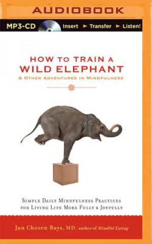 Numérique How to Train a Wild Elephant & Other Adventures in Mindfulness: Simple Daily Mindfulness Practices for Living Life More Fully & Joyfully Jan Chozen Bays