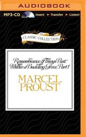 Digital Remembrance of Things Past: Within a Budding Grove, Part 1 Marcel Proust