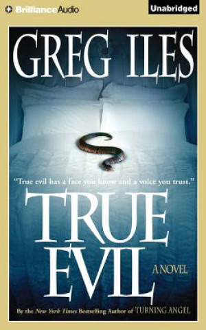 Audio True Evil Greg Iles