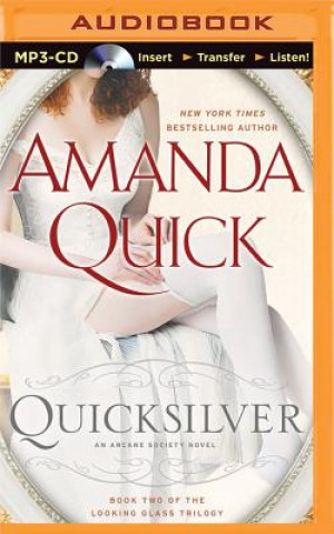 Digital Quicksilver Amanda Quick