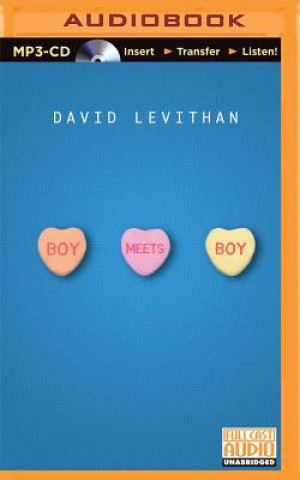 Digital Boy Meets Boy David Levithan