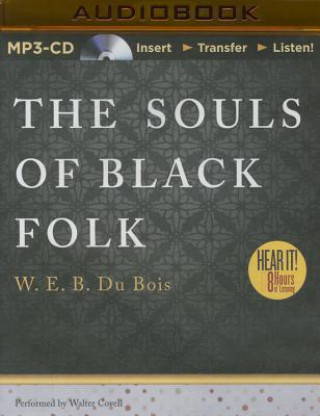 Audio The Souls of Black Folk W. E. B. Du Bois