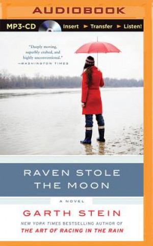 Digital Raven Stole the Moon Garth Stein