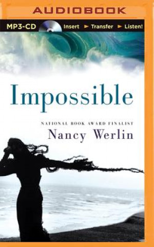 Digital Impossible Nancy Werlin