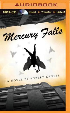 Digital Mercury Falls Robert Kroese