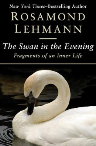 Buch Swan in the Evening Rosamond Lehmann