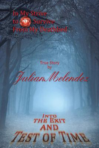 Libro Into the Exit and Test of Time Julian Melendez