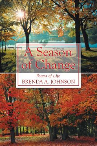 Kniha Season of Change Brenda A. Johnson