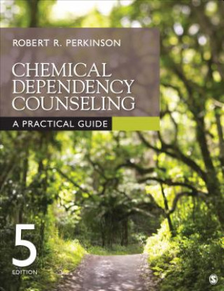 Könyv Chemical Dependency Counseling Robert R. Perkinson
