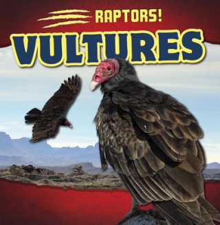 Kniha Vultures Liz Chung
