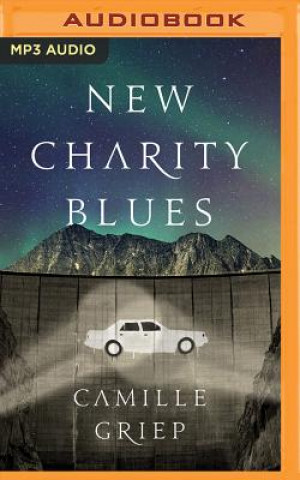 Digital New Charity Blues Camille Griep