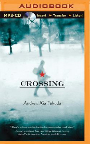 Digital Crossing Andrew Xia Fukuda