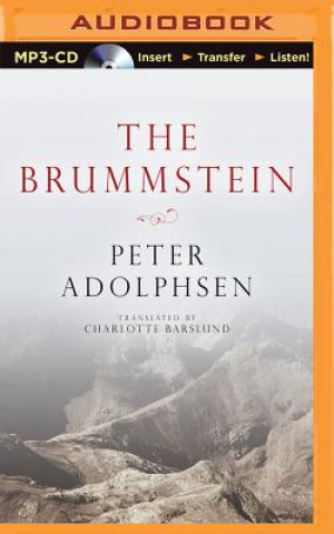 Digital The Brummstein Peter Adolphsen