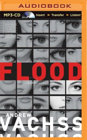 Digital Flood Andrew Vachss