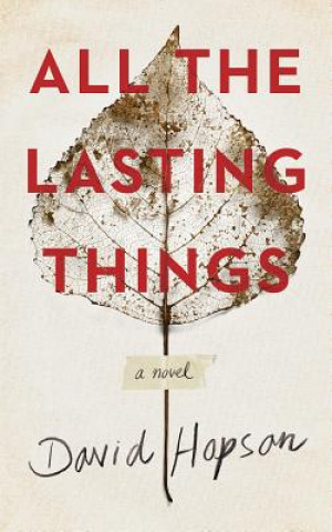 Audio All the Lasting Things David Hopson