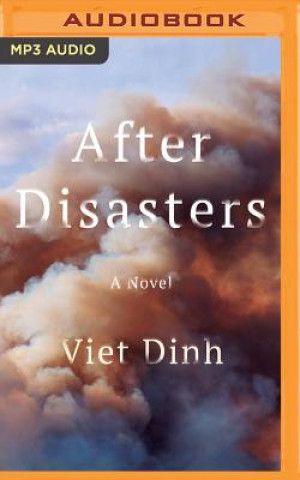 Digital After Disasters Viet Dinh