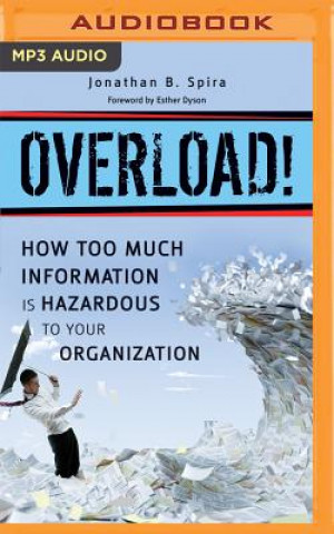 Digital Overload!: How Too Much Information Is Hazardous to Your Organization Jonathan B. Spira