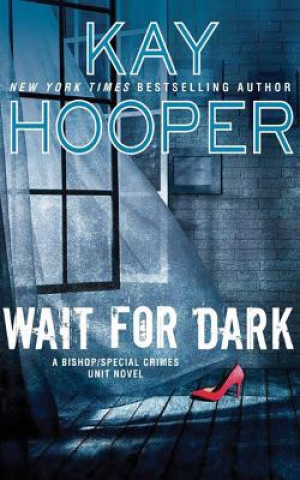 Audio Wait for Dark Kay Hooper