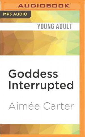 Digital Goddess Interrupted Aimee Carter