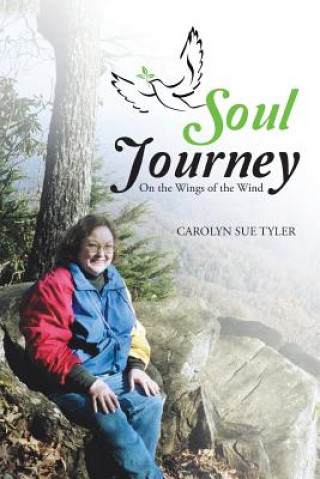 Kniha Soul Journey Carolyn Sue Tyler