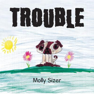 Knjiga Trouble Molly Sizer