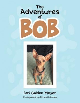 Knjiga Adventures of Bob Lori Golden Meyer