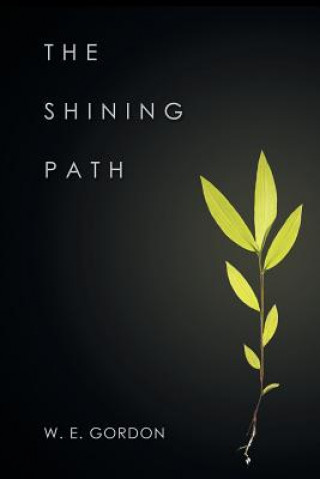Książka Shining Path W. E. Gordon