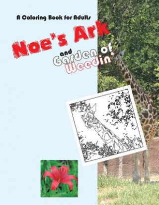 Książka Noe's Ark and Garden of Weedin' Rita Noe