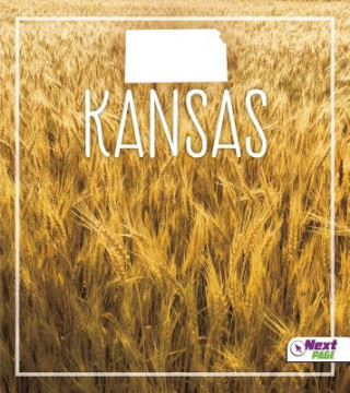 Buch Kansas Angie Swanson