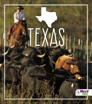 Libro Texas Bridget Parker