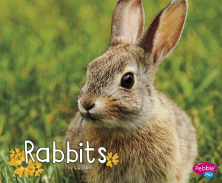 Buch Rabbits G. G. Lake