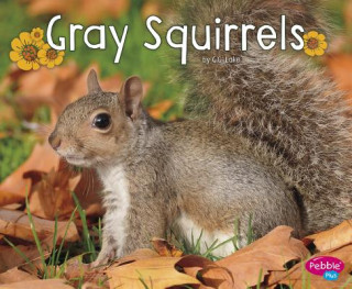 Book Gray Squirrels G. G. Lake