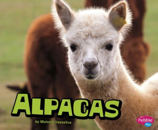 Könyv Alpacas Michelle M. Hasselius