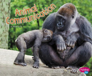 Könyv Animal Communication Abbie Dunne
