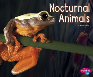 Könyv Nocturnal Animals Abbie Dunne