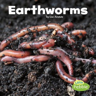 Knjiga Earthworms Lisa J. Amstutz