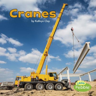 Livre Cranes Kathryn Clay