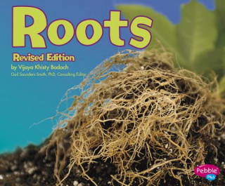 Carte Roots (Plant Parts) Vijaya Khisty Bodach