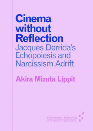 Книга Cinema without Reflection Akira Mizuta Lippit