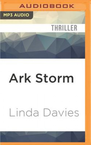 Digital Ark Storm Linda Davies