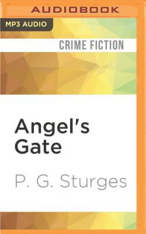 Digital Angel's Gate: A Shortcut Man Novel P. G. Sturges