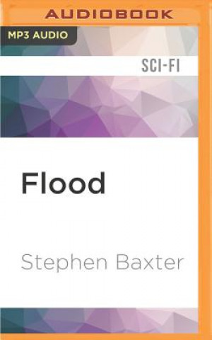Digital Flood Stephen Baxter