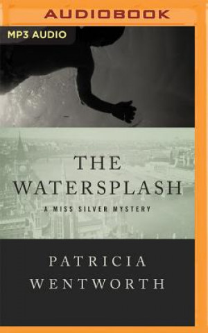 Audio The Watersplash Patricia Wentworth