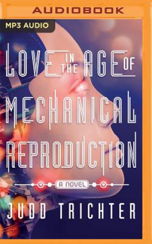 Digital Love in the Age of Mechanical Reproduction Judd Trichter