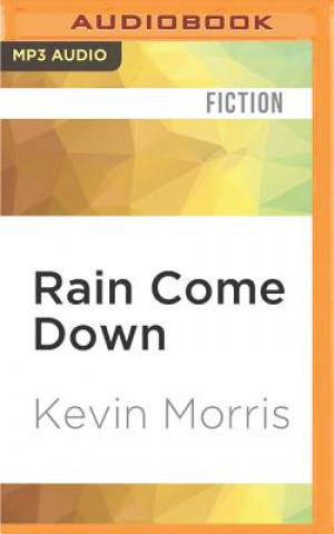 Digital Rain Come Down Kevin Morris