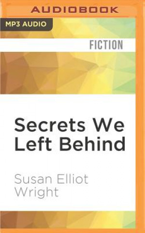 Audio Secrets We Left Behind Susan Elliot Wright