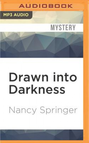Digital Drawn Into Darkness Nancy Springer