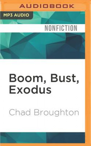 Digitale Boom, Bust, Exodus: The Rust Belt, the Maquilas, and a Tale of Two Cities Chad Broughton