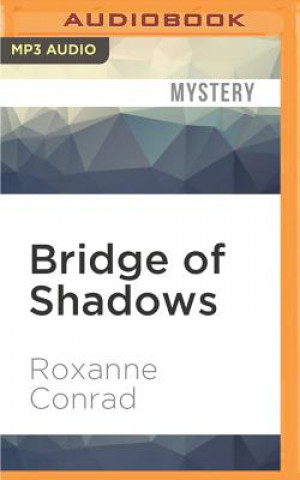 Digital Bridge of Shadows Roxanne Conrad